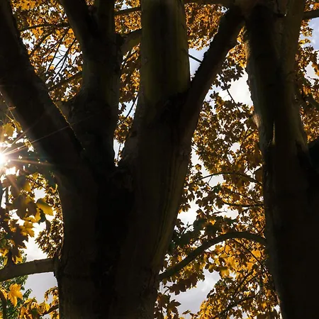 Ahorn, Wunderschoene, Neue Wohnungen, Ideal Fuer Ausfluege Ins Phantasialand, Staedte Koeln, Bruehl Und Bonn Oder Eifel