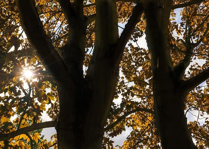 Ahorn, Wunderschoene, Neue Wohnungen, Ideal Fuer Ausfluege Ins Phantasialand, Staedte Koeln, Bruehl Und Bonn Oder Eifel